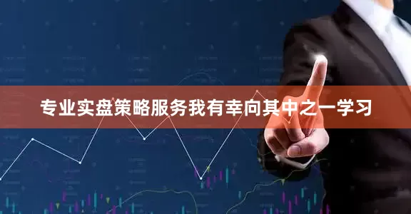 专业实盘策略服务我有幸向其中之一学习